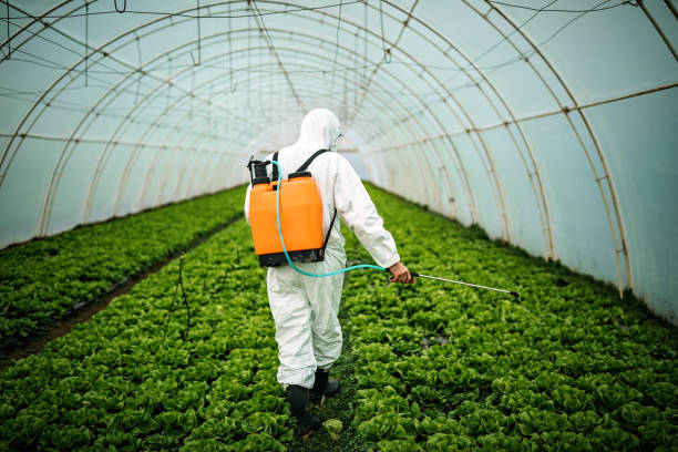 Pest Prevention Services in Oakmont, PA